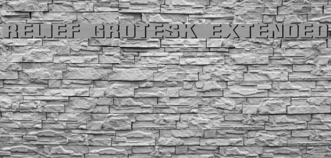 Relief Grotesk Extended  examples