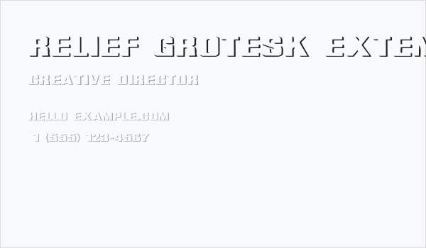 Relief Grotesk Extended Business Card