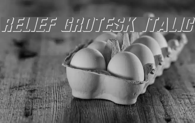 Relief Grotesk Italic Font examples