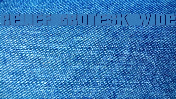 Relief Grotesk Wide Font examples