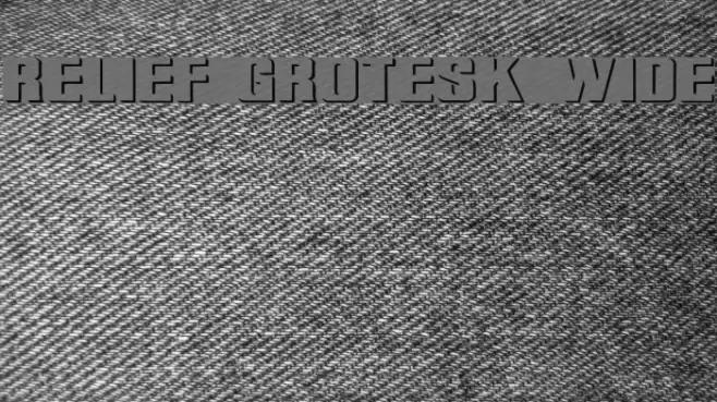 Relief Grotesk Wide  examples