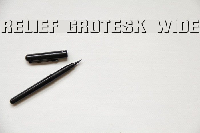 Relief Grotesk Wide Font examples