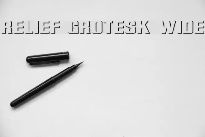 Relief Grotesk Wide  examples