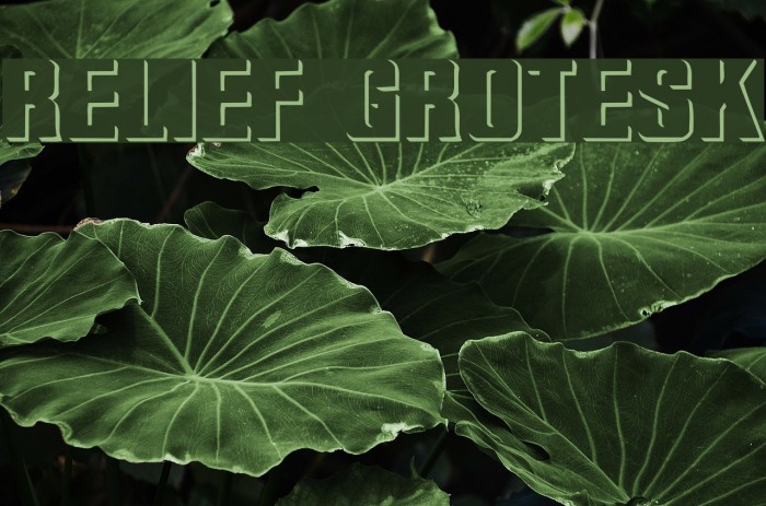 Relief Grotesk Font examples