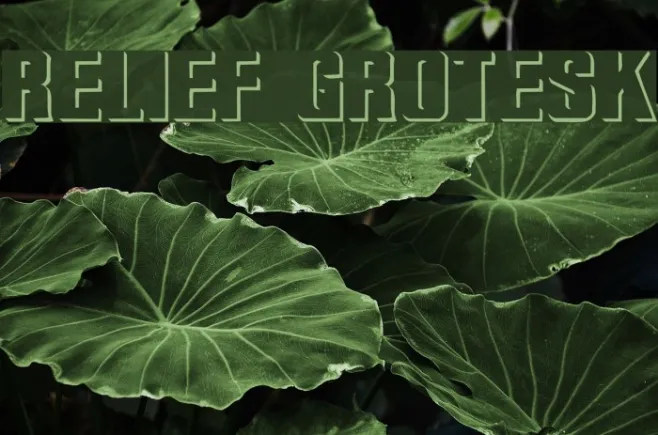 Relief Grotesk Example 1