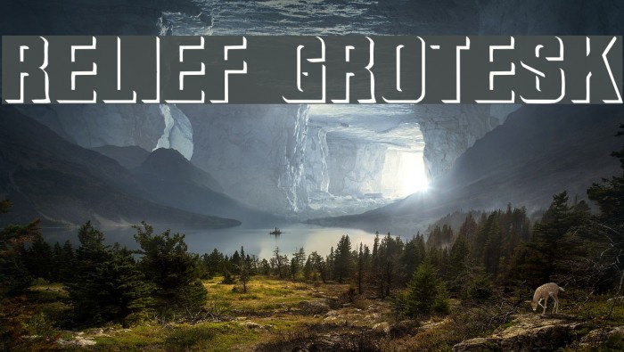 Relief Grotesk Font examples