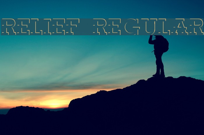 Relief Regular Polices examples
