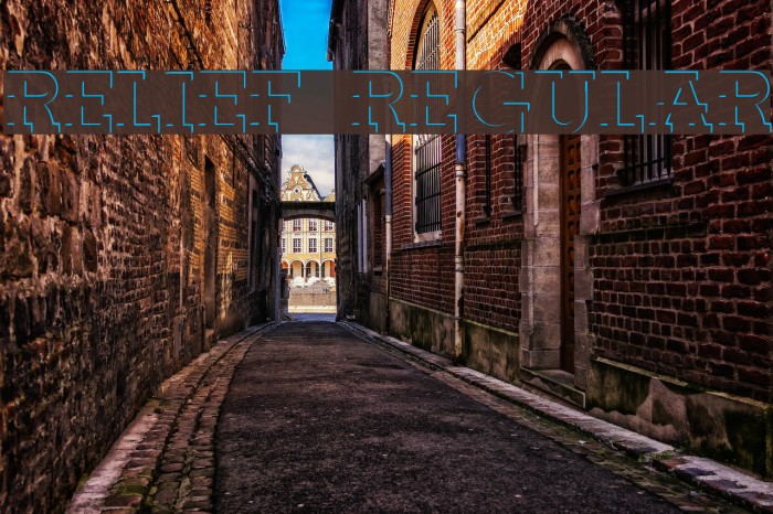 Relief Regular Polices examples