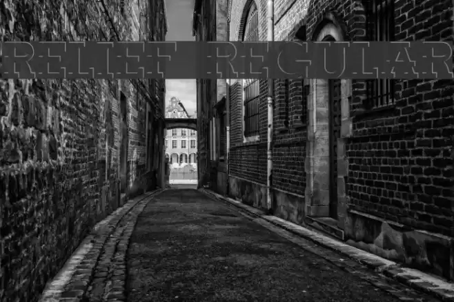 Relief Regular Font examples