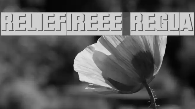 ReliefInReverse Regular Font examples