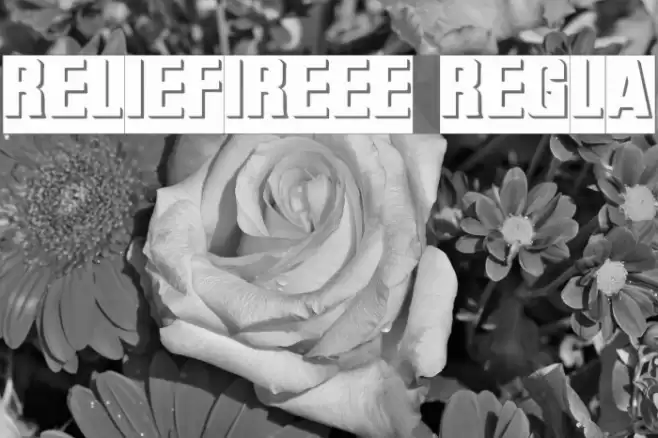 ReliefInReverse Regular Font examples
