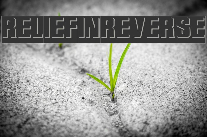 ReliefInReverse Font examples