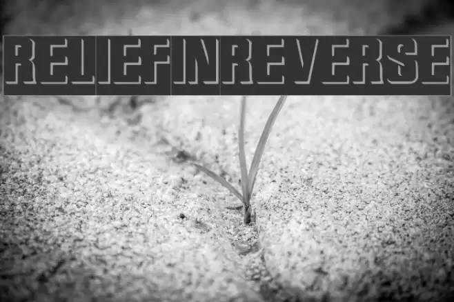 ReliefInReverse Schriftart examples