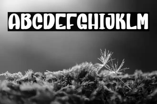 Religious Santa Fonte examples