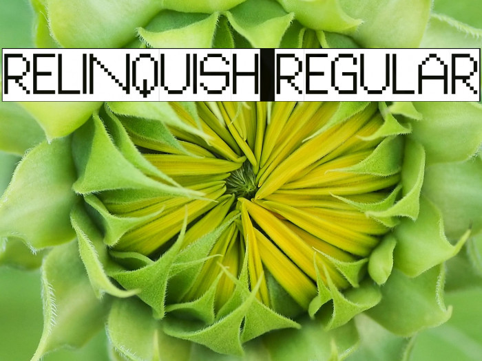 Relinquish Regular Example 1