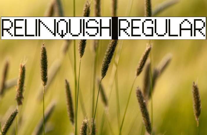 Relinquish Regular Example 2