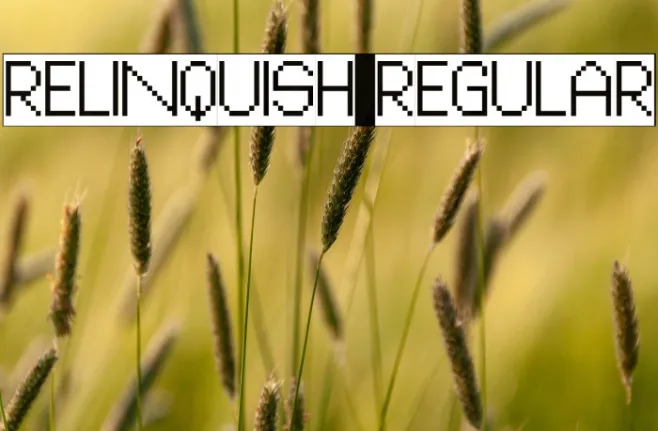Relinquish Regular Example 2