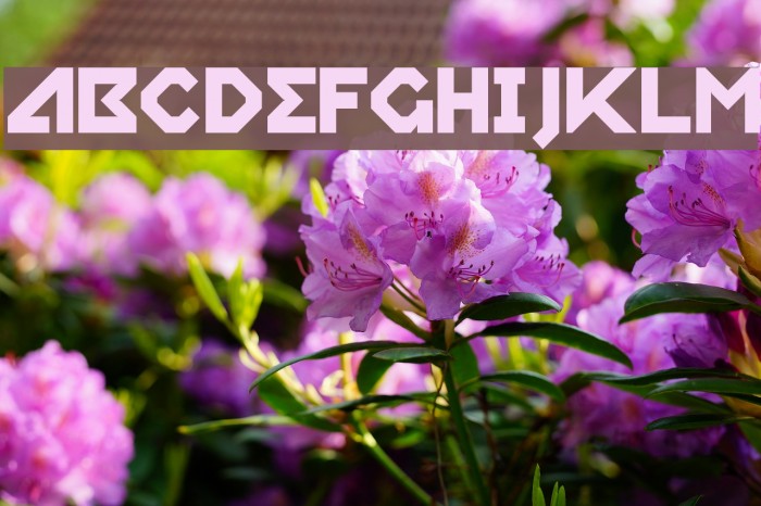 Relish Gargler Font examples