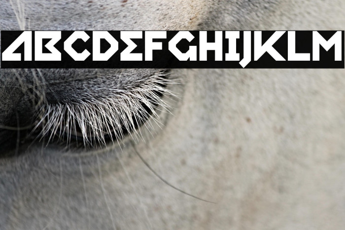 RelishGargler-Regular Example 1