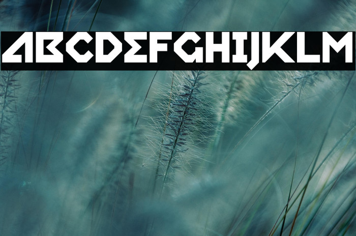 RelishGargler-Regular Example 2