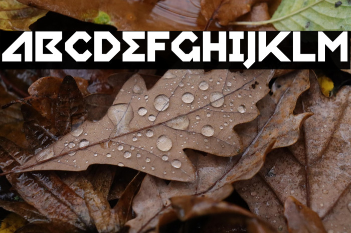 RelishGargler-Regular Example 3