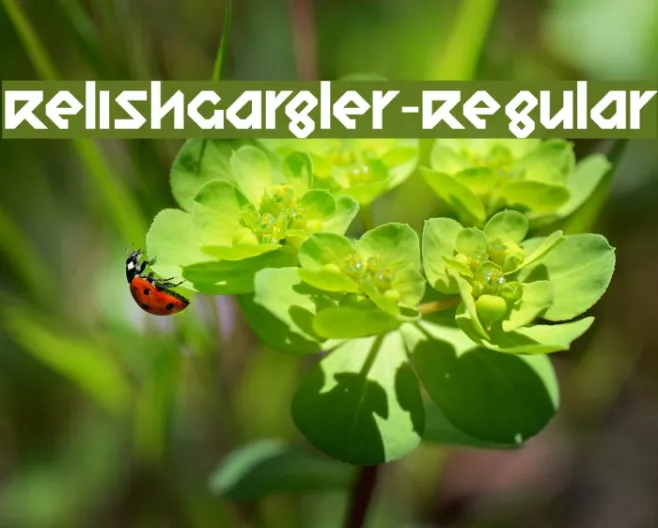 RelishGargler-Regular Example 2