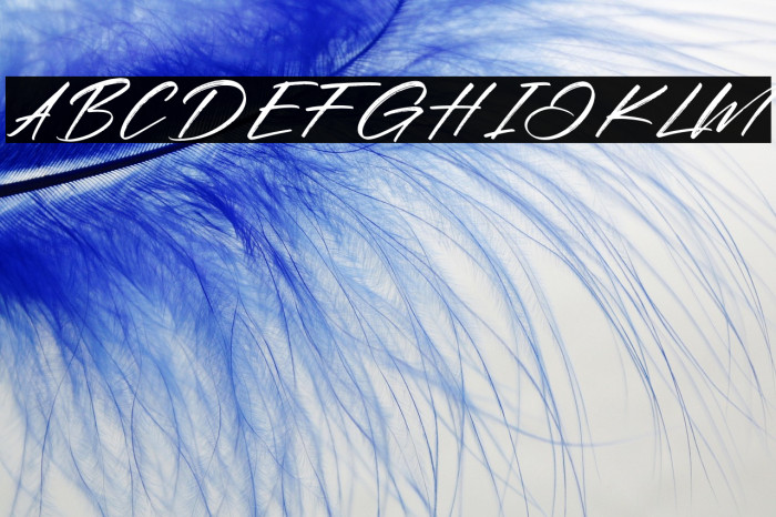 Relitha Patricia Example 1