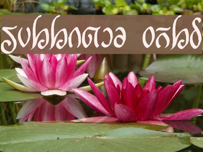 Rellanic Bold Example 1