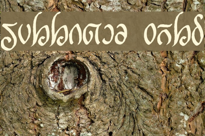 Rellanic Bold Example 2