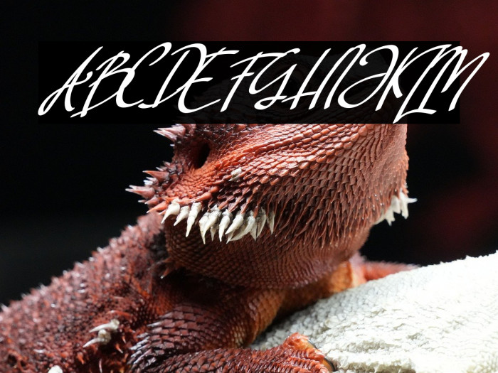 Rellata Italic Example 1