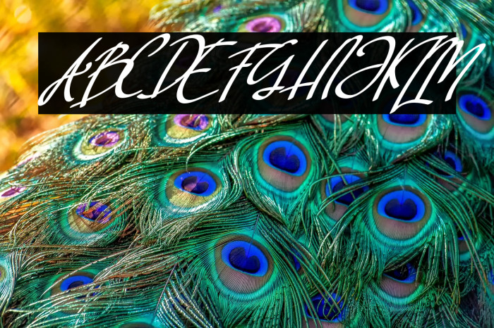 Rellata Italic Example 2