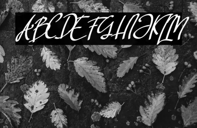 Rellata Font | Free Download (TTF/OTF) | FFonts.net