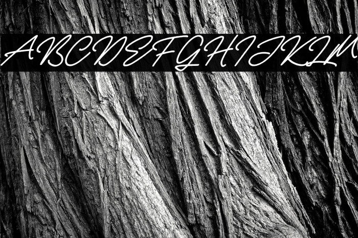 Rellathage Rough Italic Example 1