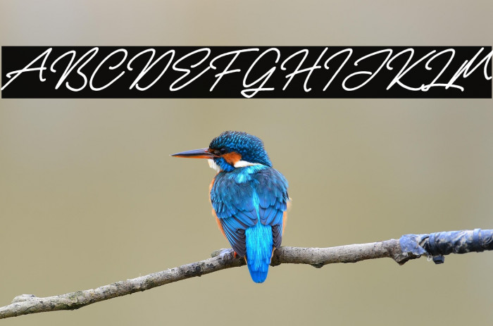 Rellathage Rough Italic Example 2