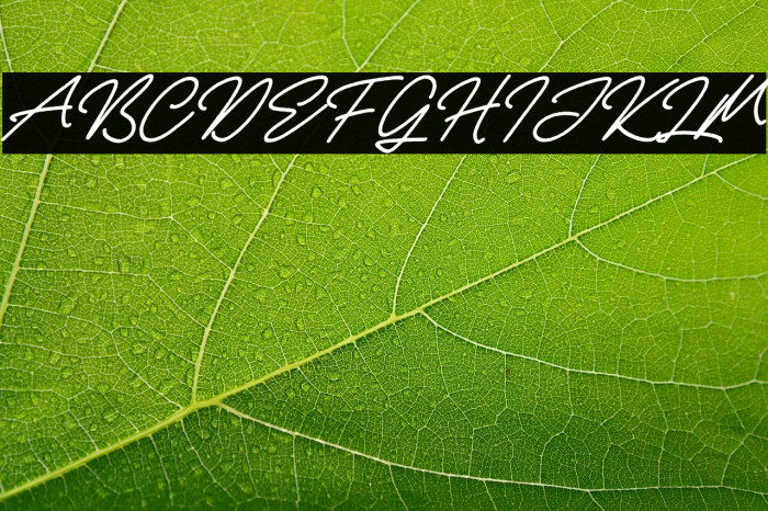 Rellathage Rough Italic Example 3