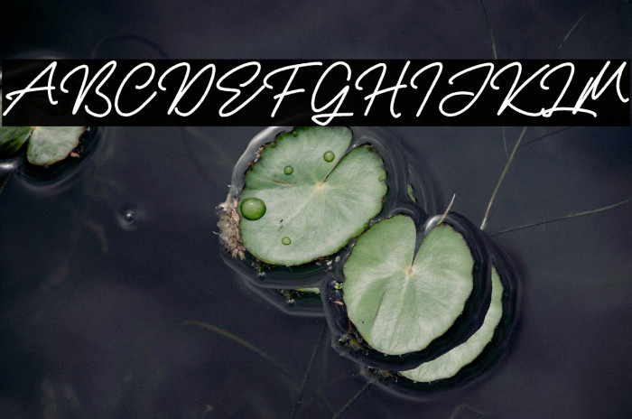 Rellathage Rough Example 2