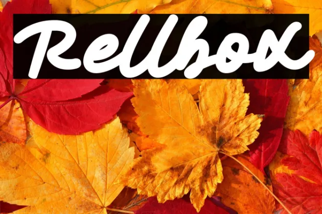 Rellbox Example 1