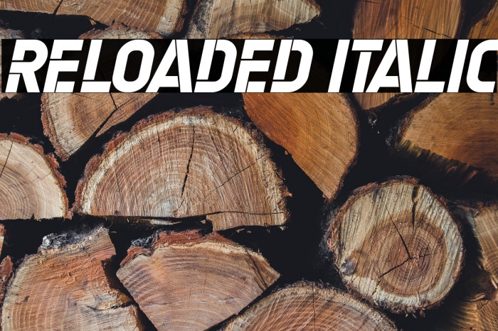 Reloaded Italic Example 1