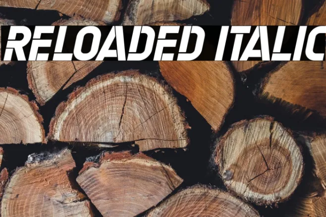 Reloaded Italic Example 1