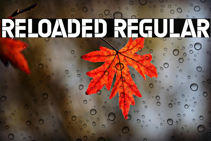 Reloaded Regular Example 2