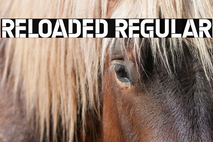 Reloaded Regular Example 3