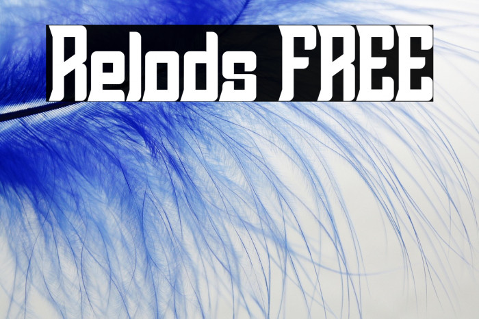 Relods FREE Example 2