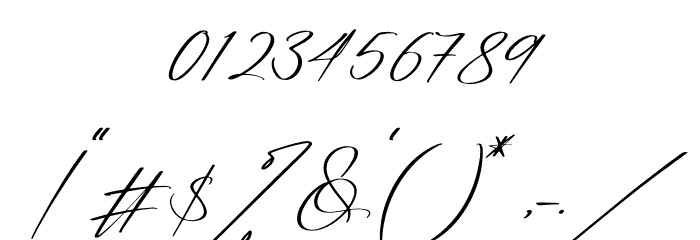 Reltinatha Signature Italic Font OTHER CHARS