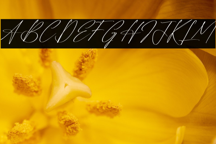 Reltinatha Signature Italic Example 2