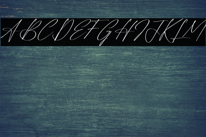 Reltinatha Signature Italic Example 3