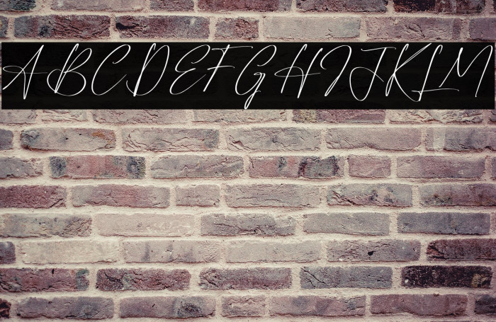 Reltinatha Signature Example 1