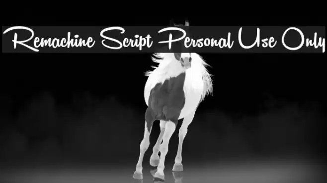 Remachine Script Personal Use Only フォント examples