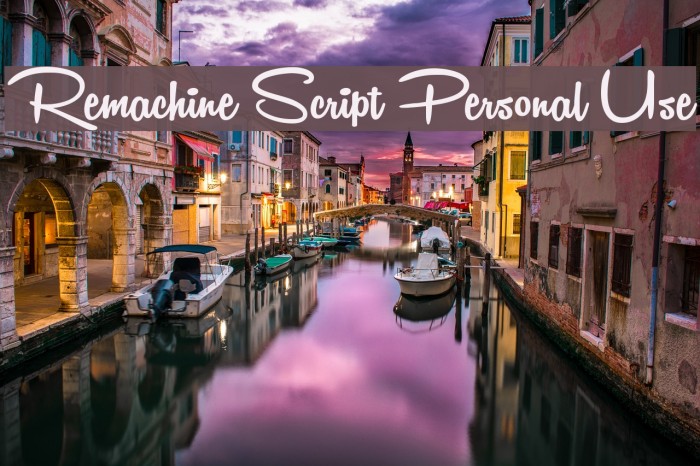 Remachine Script Personal Use Font examples