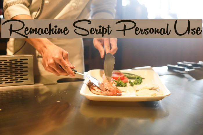 Remachine Script Personal Use Font examples