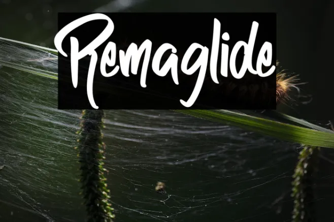 Remaglide Example 3